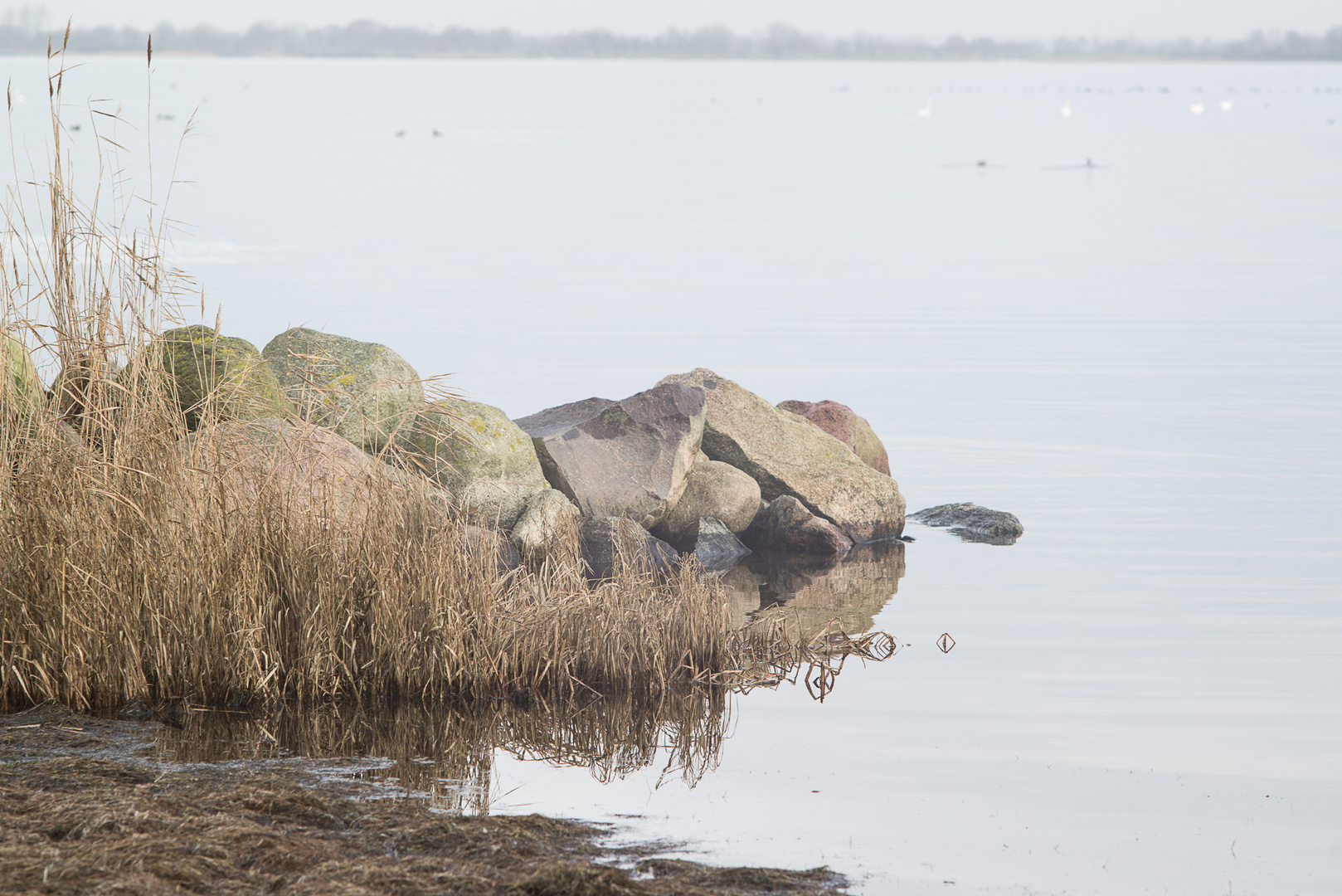 Spaziergang am Ostsee-ufer