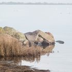 Spaziergang am Ostsee-ufer