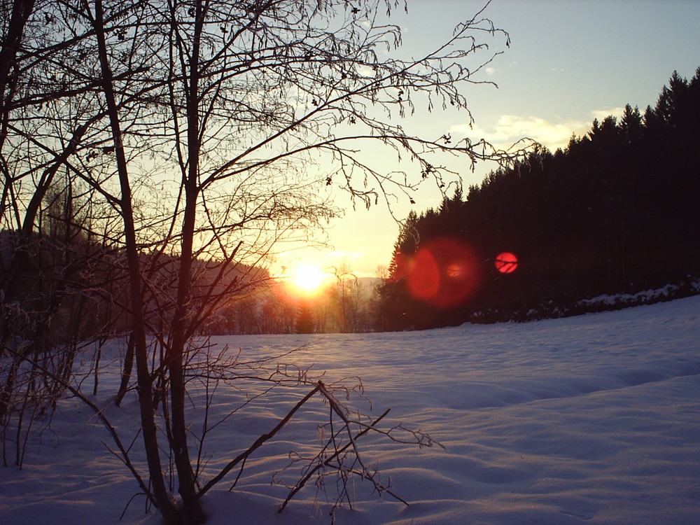 Spaziergang am Regener Stausee im Winter 2