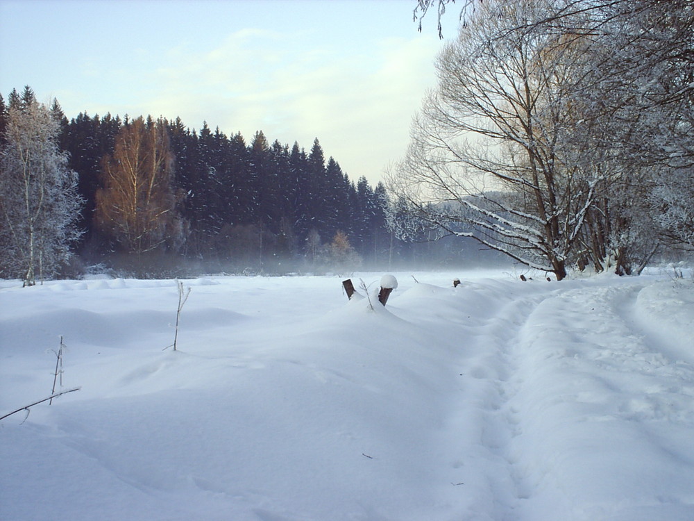 Spaziergang am Regener Stausee im Winter