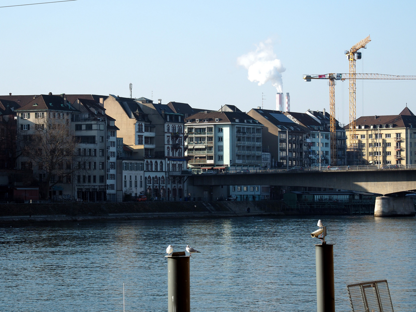 Spaziergang am Rhein 02