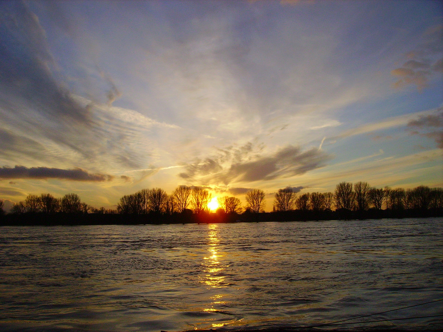 Spaziergang am Rhein