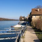 Spaziergang am Rhein