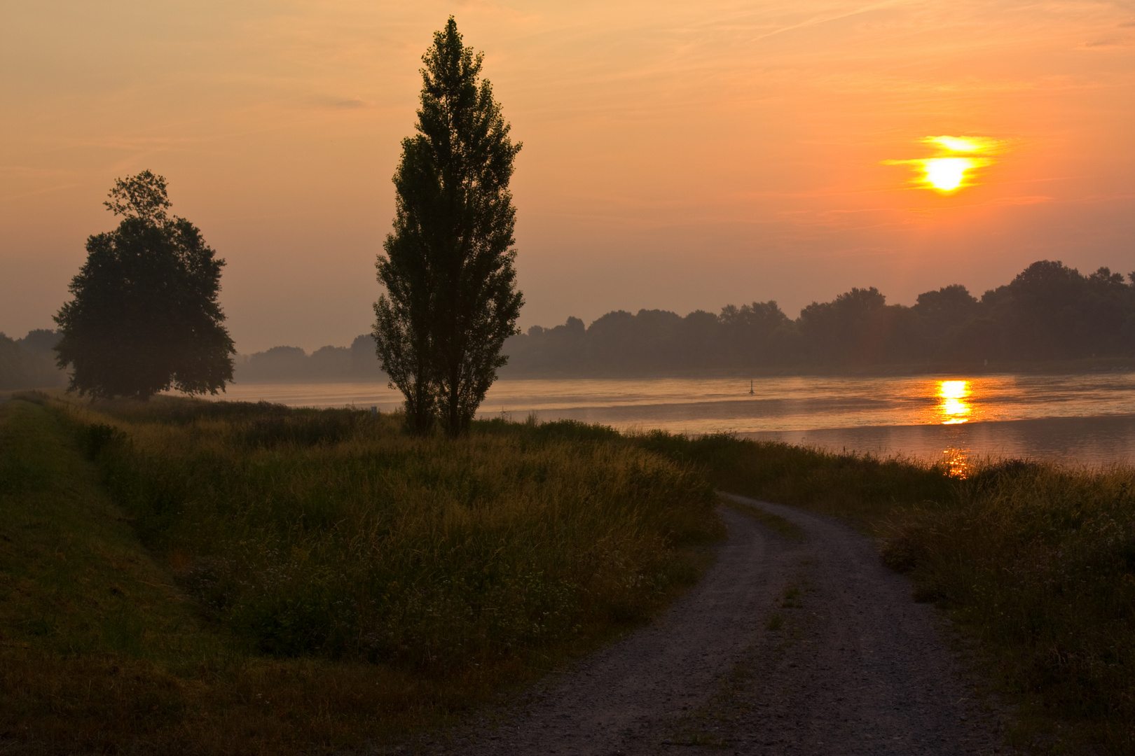 Spaziergang am Rhein