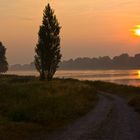 Spaziergang am Rhein