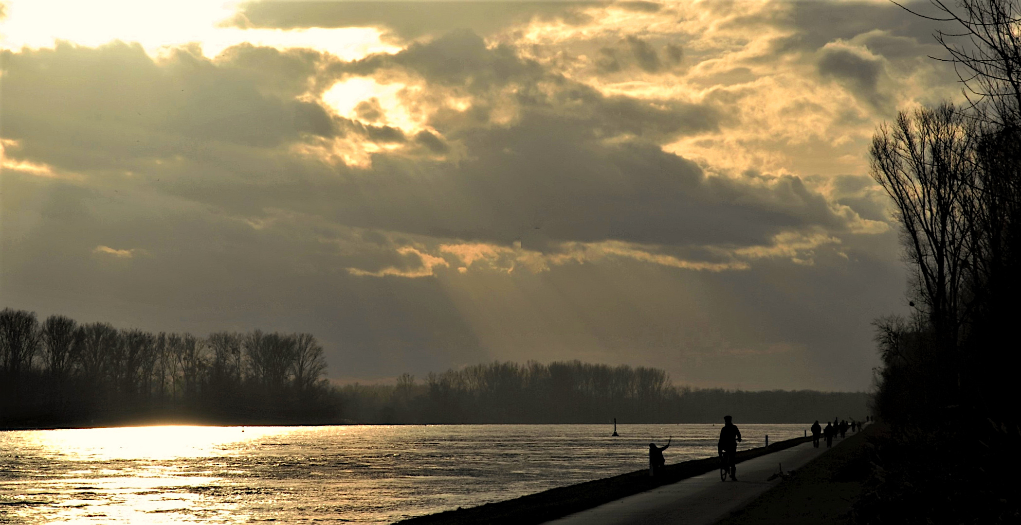 Spaziergang am Rhein