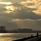 Spaziergang am Rhein