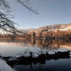 Spaziergang am Rhein