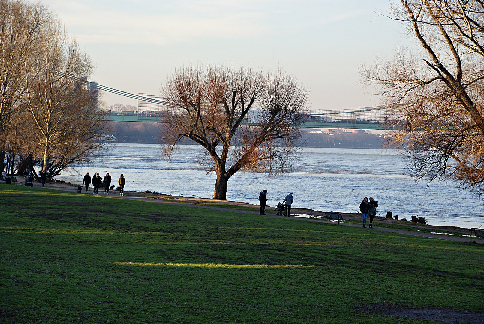 Spaziergang am Rhein in Rodenkirchen