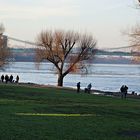 Spaziergang am Rhein in Rodenkirchen