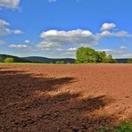 Spaziergang am "roten Land" in Schönhagen