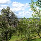 Spaziergang am Rundweg des Heuberg