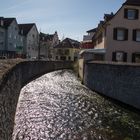 Spaziergang am Saalbach 01