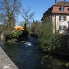 Spaziergang am Saalbach 03