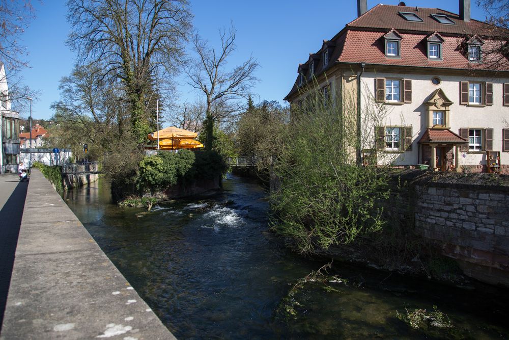 Spaziergang am Saalbach 03