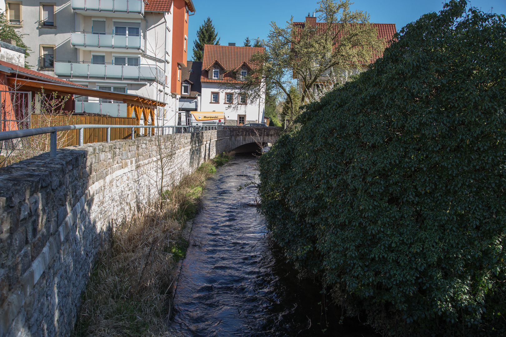 Spaziergang am Saalbach 04