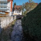 Spaziergang am Saalbach 04