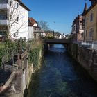 Spaziergang am Saalbach 10