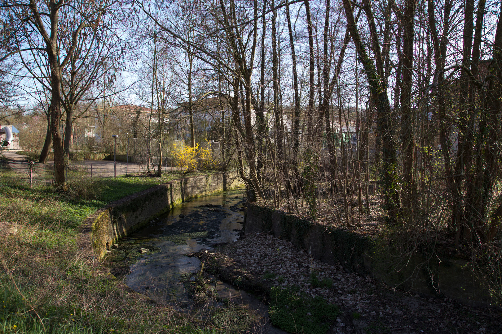 Spaziergang am Saalbach 13