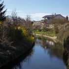 Spaziergang am Saalbach 16