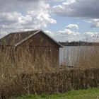 Spaziergang am Schaalsee bei Zarrentin