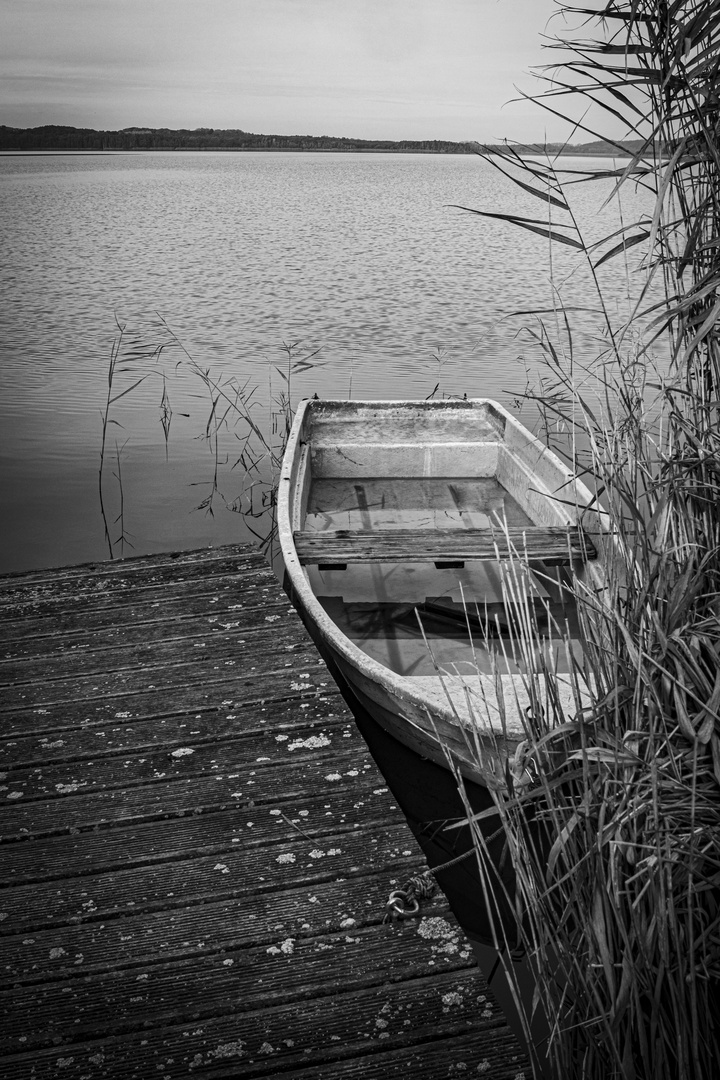 "Spaziergang am Schmollensee I"