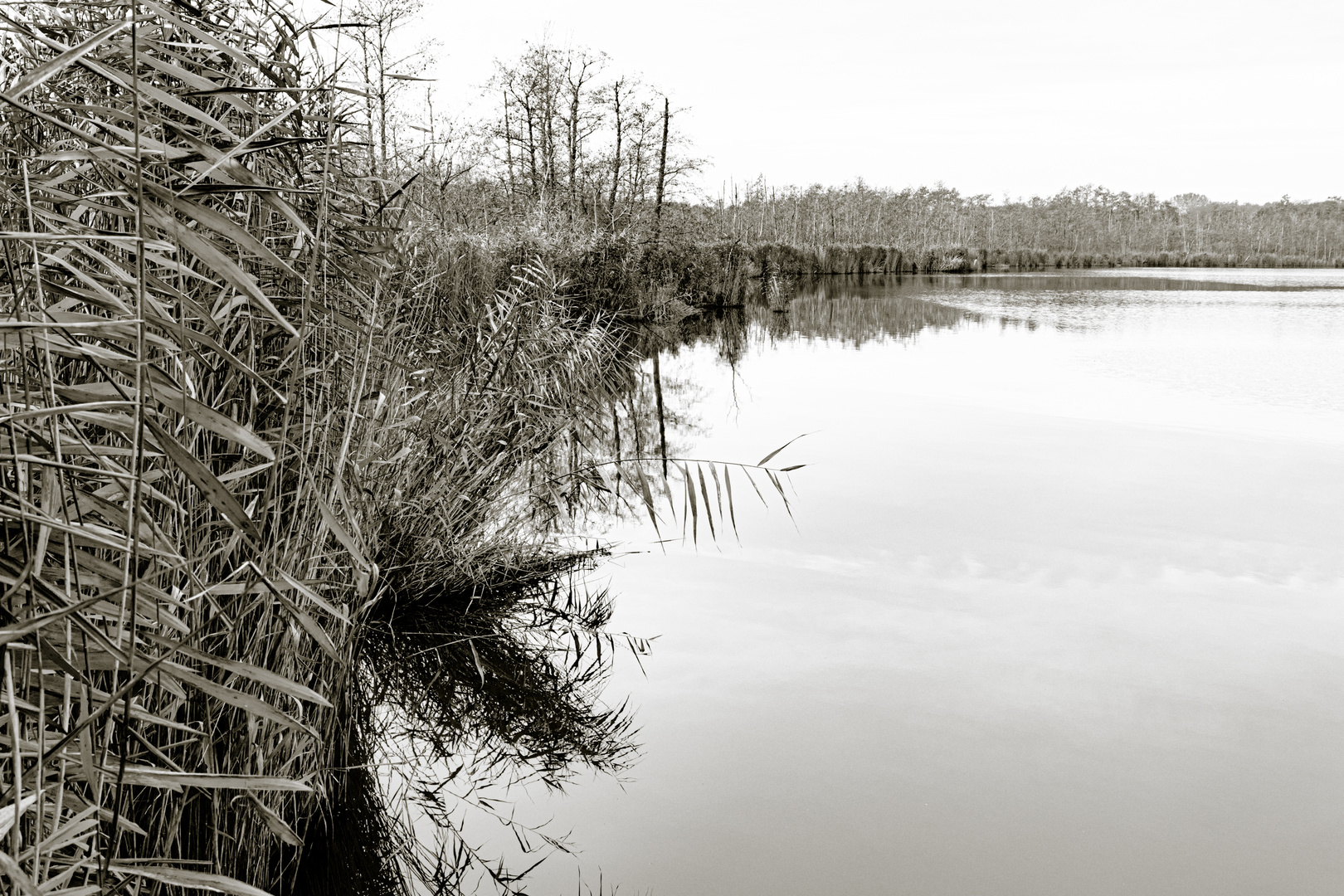 "Spaziergang am Schmollensee III"