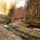 Spaziergang am Schöngrundsee