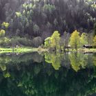 Spaziergang am See