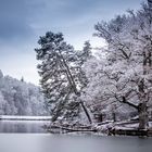 Spaziergang am See 2