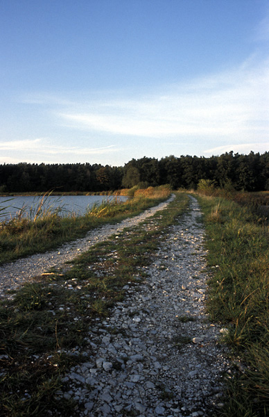 Spaziergang am See