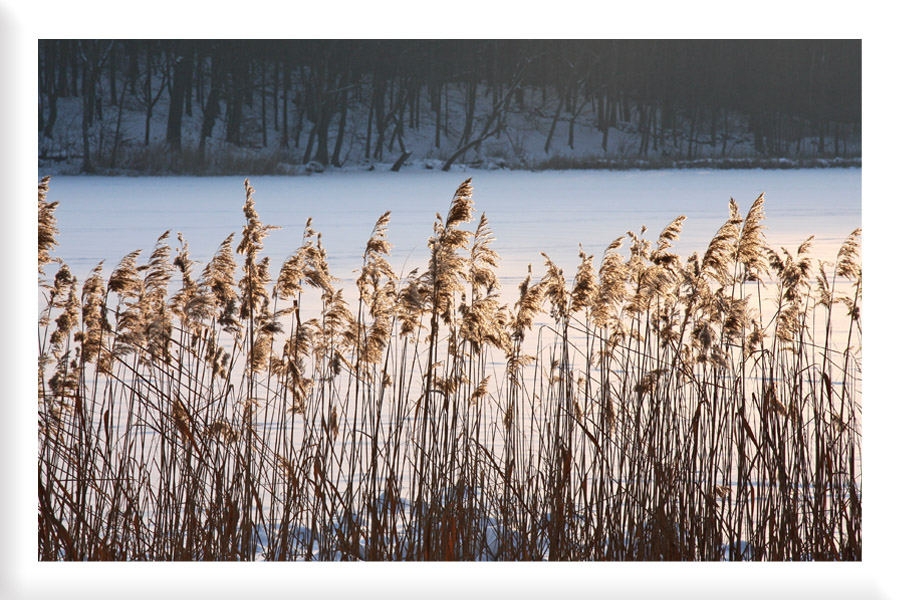 Spaziergang am See