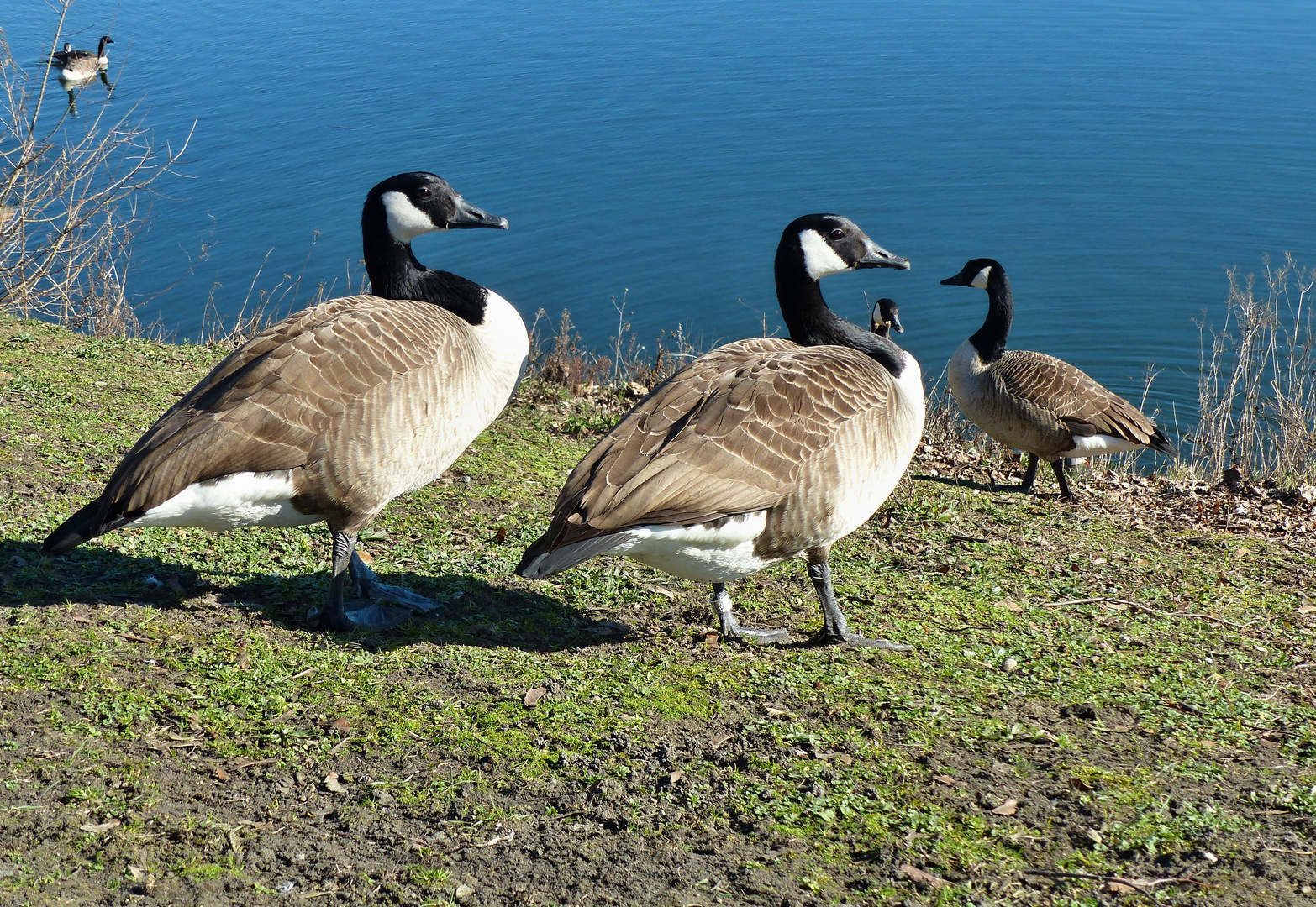 Spaziergang am See