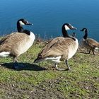 Spaziergang am See