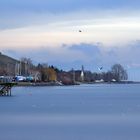 Spaziergang am See...