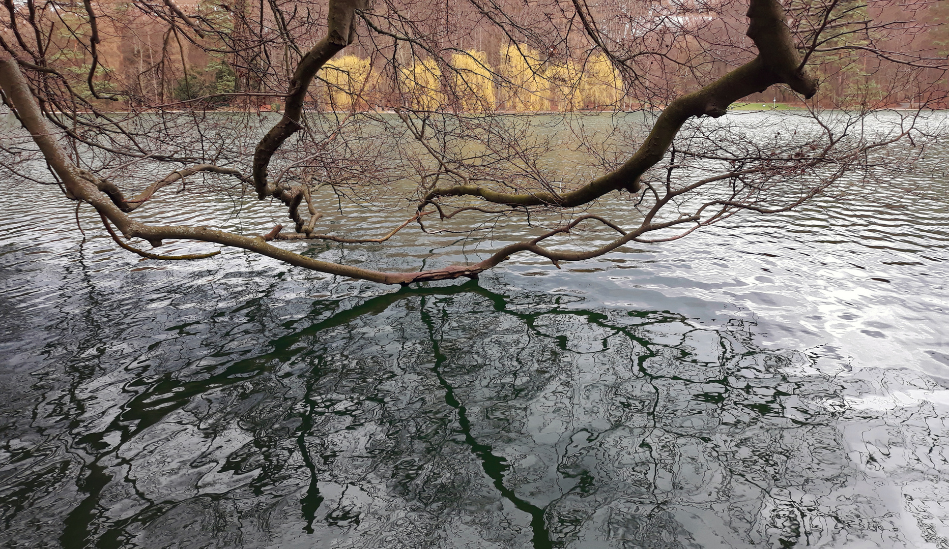 SPAZIERGANG AM SEE...