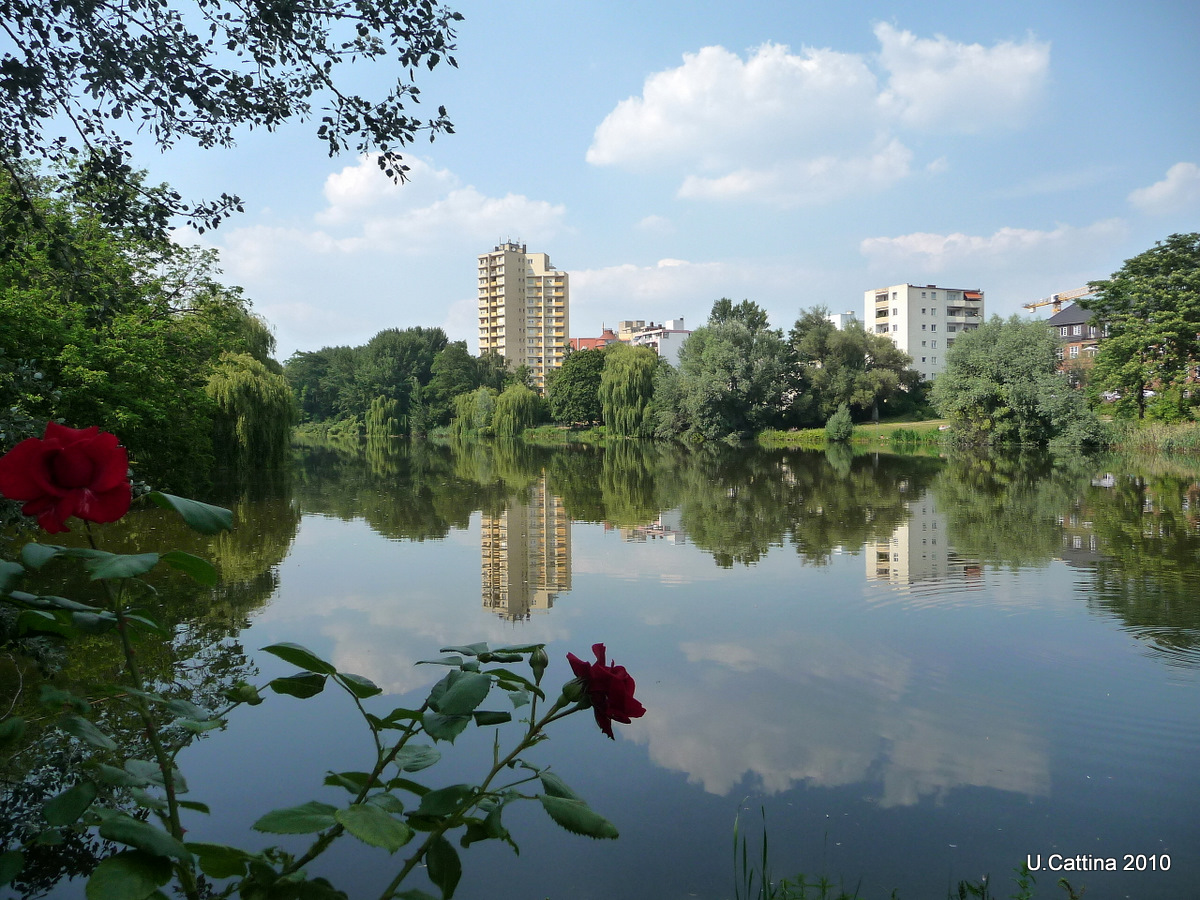 Spaziergang am See