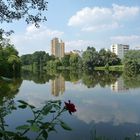 Spaziergang am See