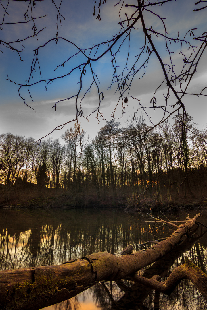 Spaziergang am See