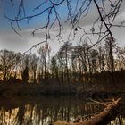 Spaziergang am See