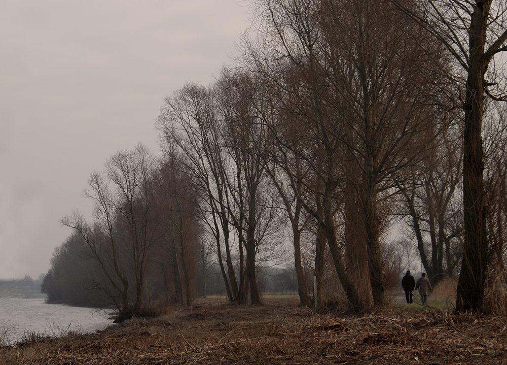 Spaziergang am See