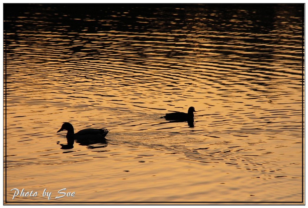 Spaziergang am See