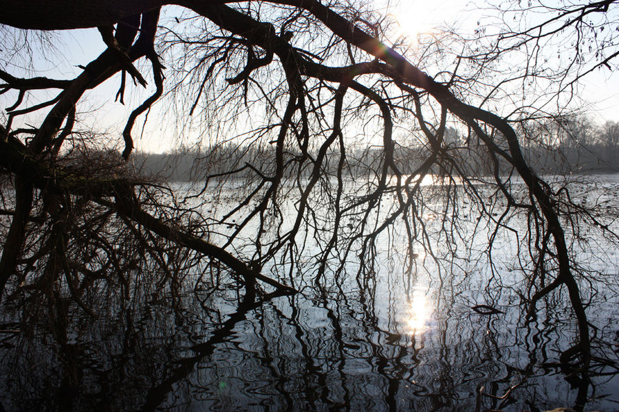 Spaziergang am See