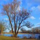 Spaziergang am Silbersee