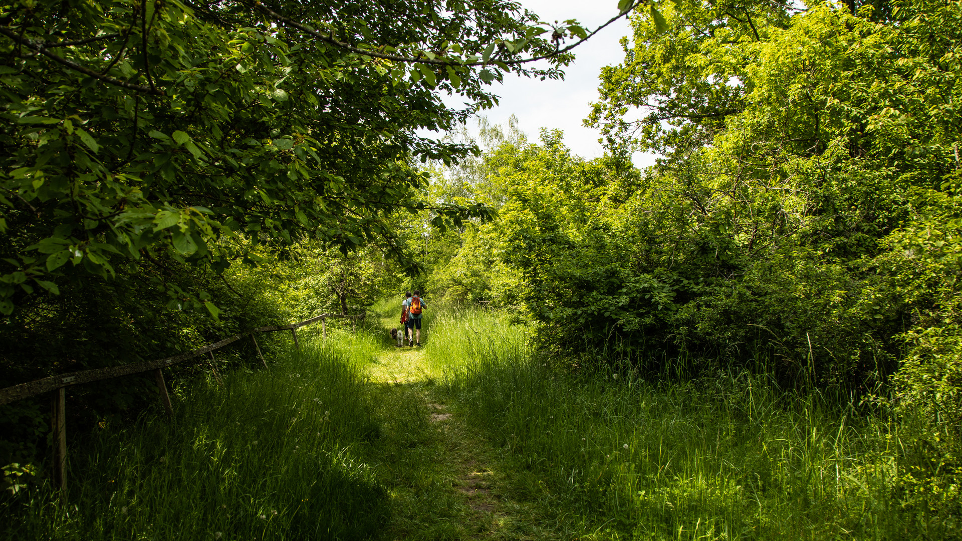 SPAZIERGANG AM SONNTAG