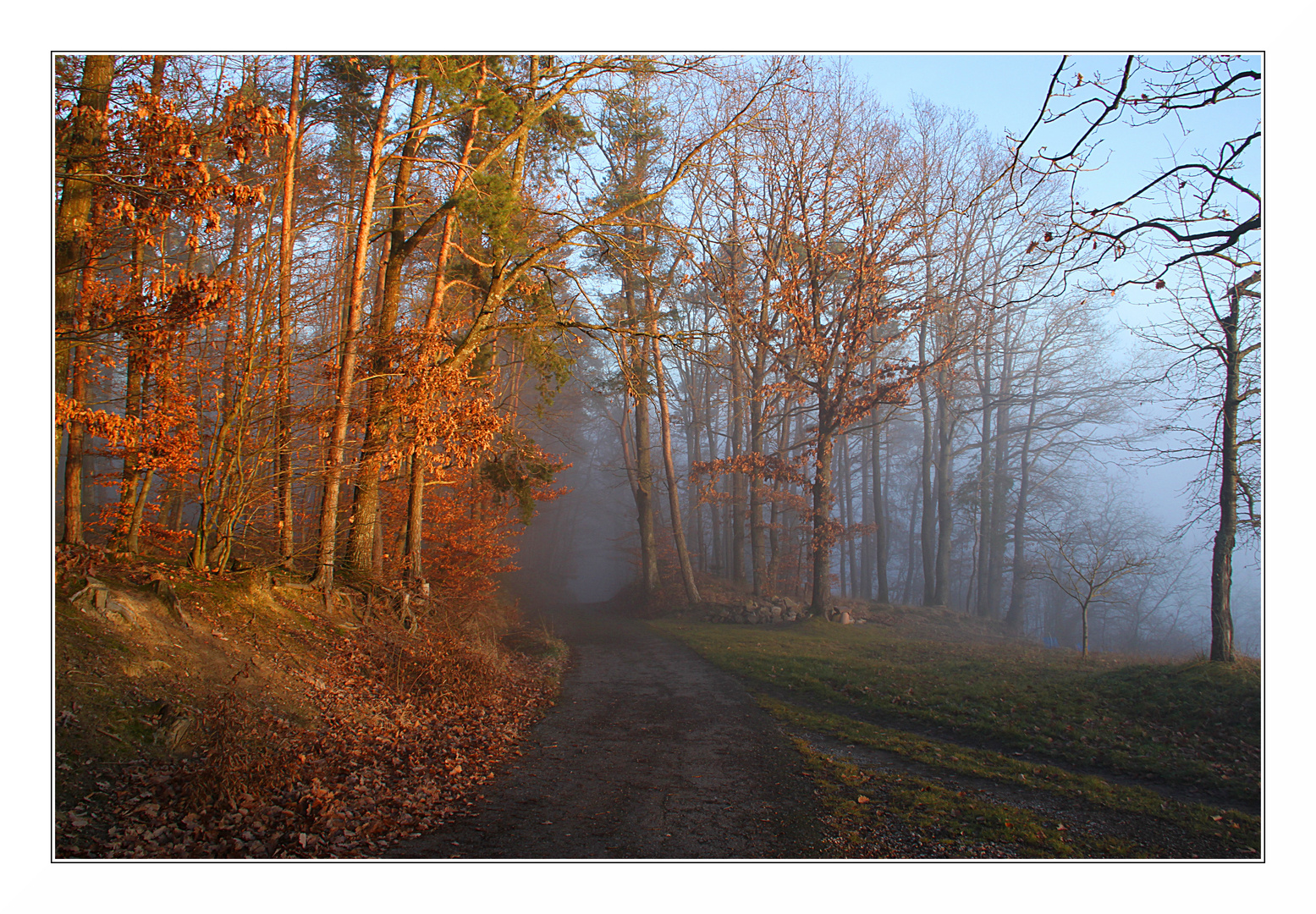 Spaziergang am späten Nachmittag...