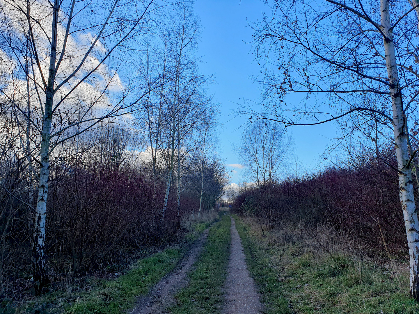 Spaziergang am Stadtrand (1)