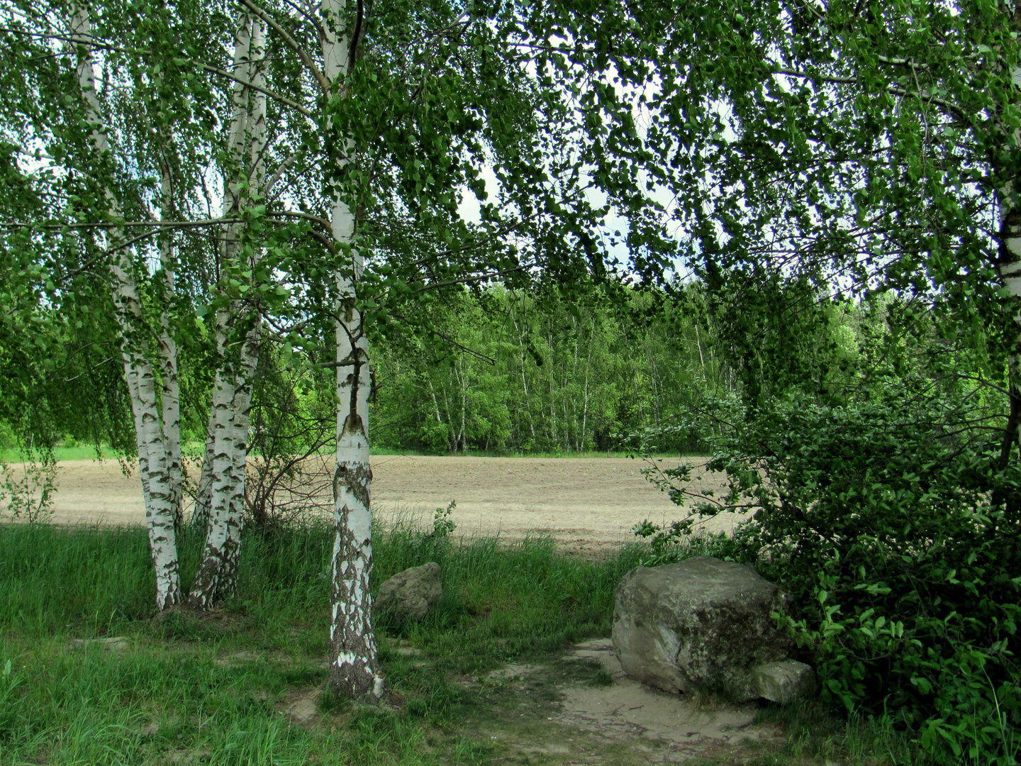 Spaziergang am Stadtrand