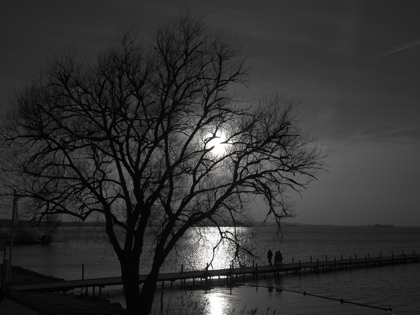 Spaziergang am Steinhuder Meer