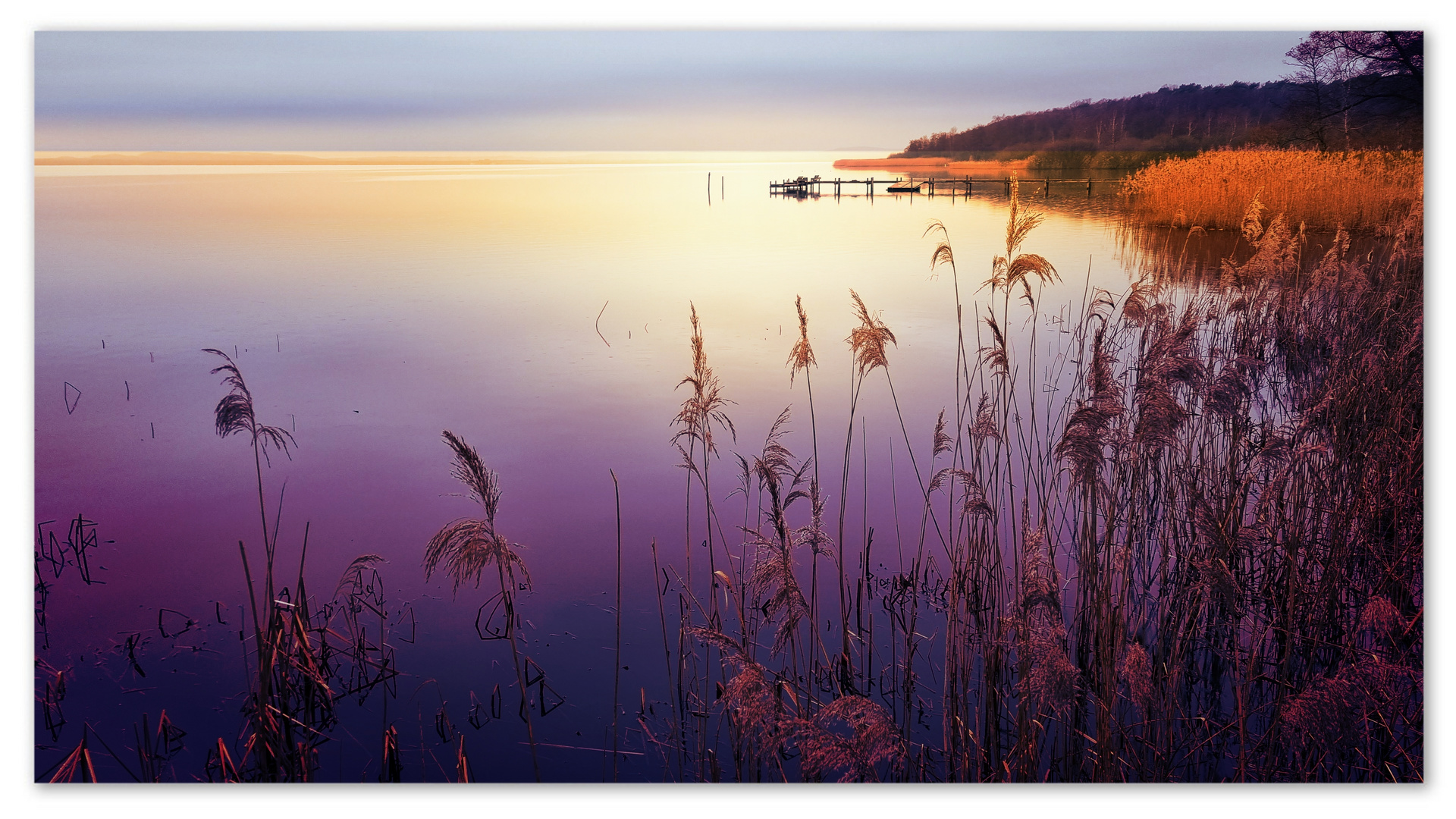 Spaziergang am Steinhuder Meer